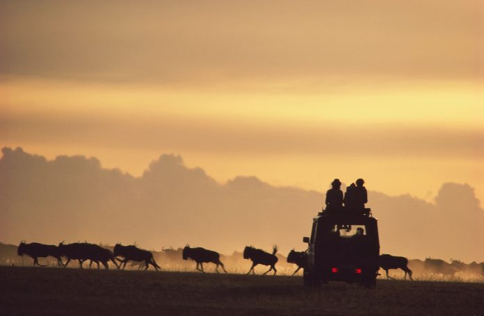 East Africa Safari