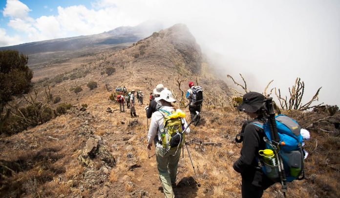 Kilimanjaro Trekking