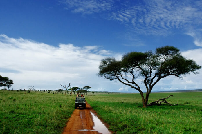 Tanzania Game Drive